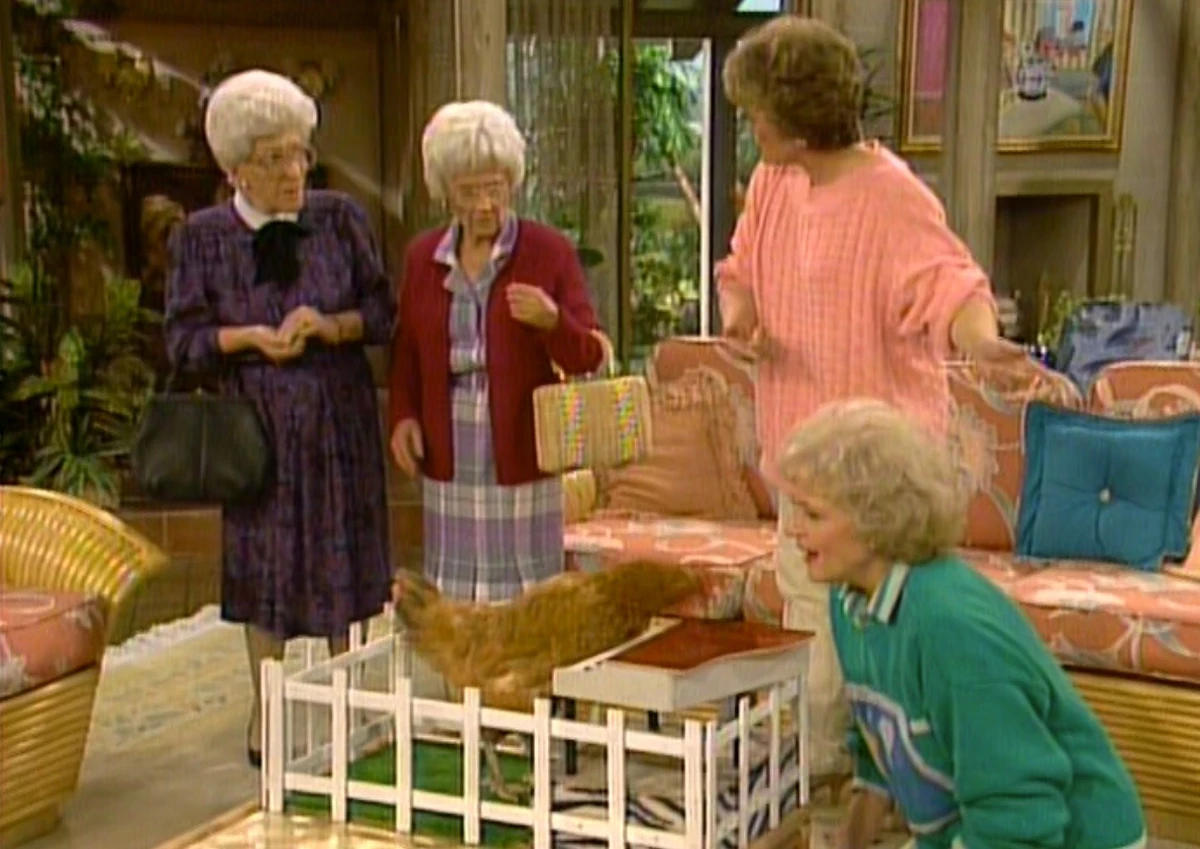 Long Day's Journey into Marinara Golden Girls Wiki Fandom