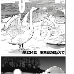 Category Volume 23 Chapters Golden Kamuy Wikia Fandom