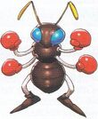 Offical art of Punch Ant