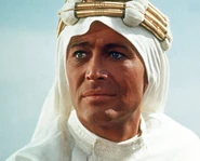 T.E. Lawrence in Lawrence of Arabia.