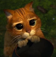 Puss-in-Boots in Shrek 2.