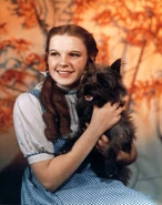 Dorothy Gale in The Wizard of Oz.