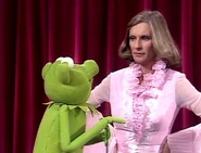 The Muppet Show.