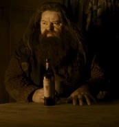 Coltranehagrid.jpg (118 KB) Rubeus Hagrid in Harry Potter and the Half Blood Prince.