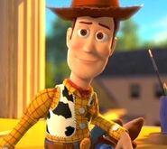 Woody in Toy Story 2.