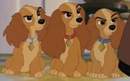 Annette, Colette and Danielle. in Lady and the Tramp 2: Scamp's Adventure.