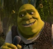Shrek in Shrek.