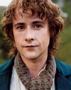 Peregrin "Pippin" Took in The Lord of the Rings: The Fellowship of the Ring.