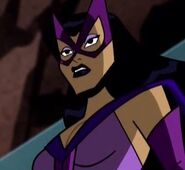 Huntress in Batman: The Brave and the Bold.