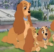 Bensonlady.jpg (43 KB) Lady in Lady and the Tramp 2: Scamp's Adventure.