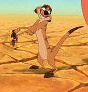 Timon in The Lion King.