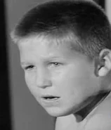 Davy Crane in Sea Hunt.