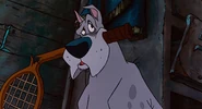 Einstein Oliver & Company.