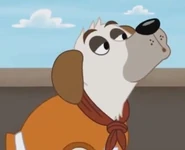 Salty in Pound Puppies.