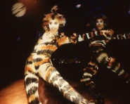 Jo Gibb in Cats