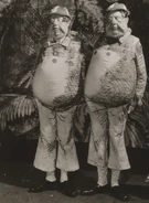 32deedum.jpg (84 KB) Tweedledee and Tweedledum in Alice in Wonderland and Through the Looking Glass.