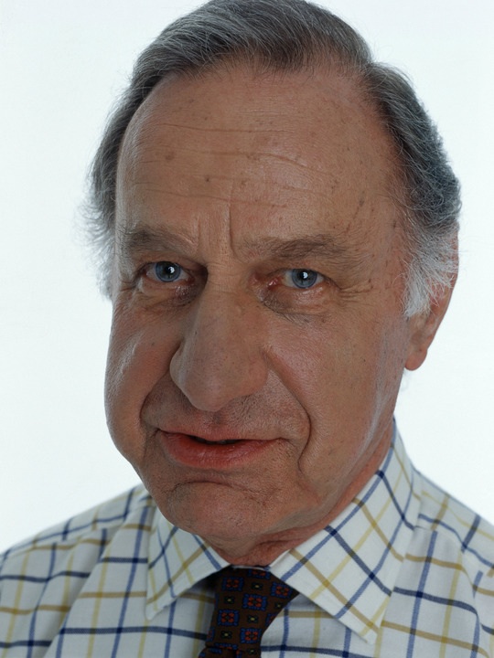 geoffrey palmer