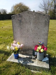 176354238 2000298166787218 1923416009890616187 n