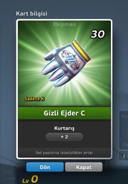 Gizli Ejder C GK Eldiven