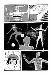 QTHoney-02 055