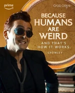 Humans Are Weird Poster.jpg (135 KB)