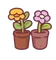 Potted Flowers