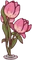 Giant Tulip