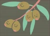 PNN Broadcasts Olive Smile