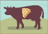 PNN Broadcasts Cow Cheese