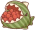 Melon Shark