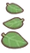Leafy Pathway