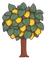 Lemon Trees