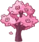 Cherry Blossom Trees