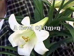 A Bowl Of Onion