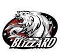 Buffalo Blizzard