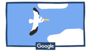 Wandering Albatross