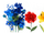 First Day of Spring 2015 (Northern Hemisphere)