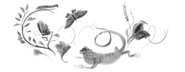 Concept Art
