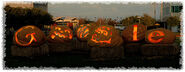 Halloween 2011 - (Oct 31st)