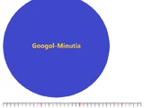 Googol-minutia