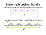 Blistering blooshker bundle