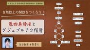 自然数上の関数を作ろう！ 原始再帰法とグジェゴルチク階層