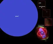 Lcillion加仑的水，一加仑约等于3