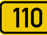 110