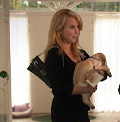 Sinatra | Gooische Vrouwen Wiki | Fandom