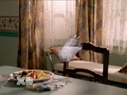 Letsgetinvisible 4.jpg (31 KB)