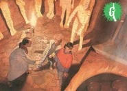 Topps Trading Card 03.