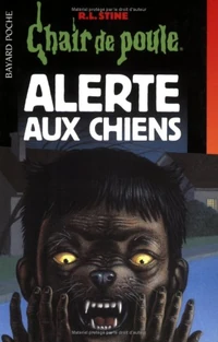 Myhairiestadventure-french2
