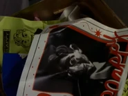 A black-and-white photograph of Slappy in the trash bin.