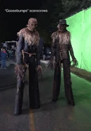 3b36becb56e5ad306daae96a94d94f29.jpg (698 KB) Scarecrows behind-the-scenes.